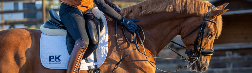Peer satelliet Niet meer geldig Ruitersport artikelen voor uw paard en pony | Ruime keuze en scherpe  prijzen bij Bosgra Hardegarijp