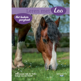 Boek Leren met Leo, Annemarie van der Toorn en Esther van der Graaff