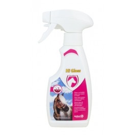 Excellent Hi Gloss clean spray 500ml