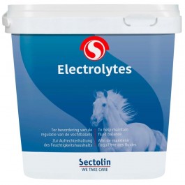 Sectolin Electrolytes 500 gram