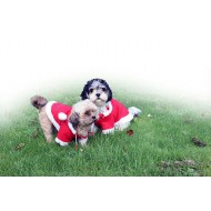 QHP hondendeken kerst      