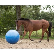 QHP paardenvoetbal