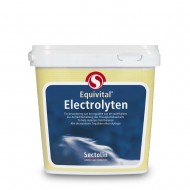 Equivital Electrolyten 500 gram