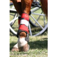 Mr. Stockings peesbeschermers paard achter