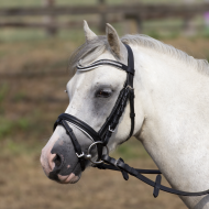 Busse hoofdstel Little