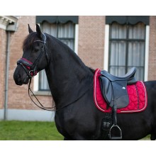 QHP zadeldek Q Friesian 